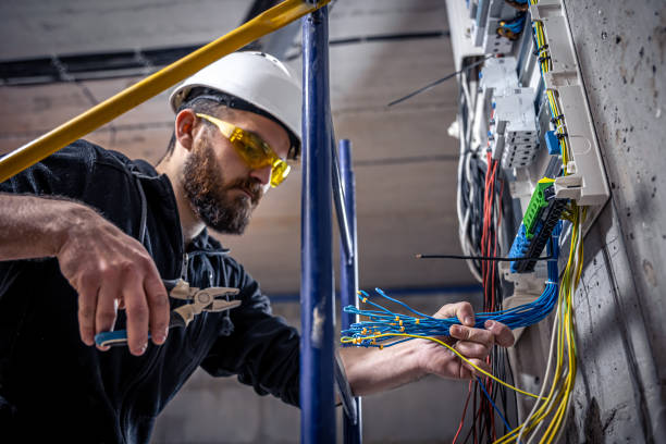 Best Electric Panel Repair  in Shepherd, TX